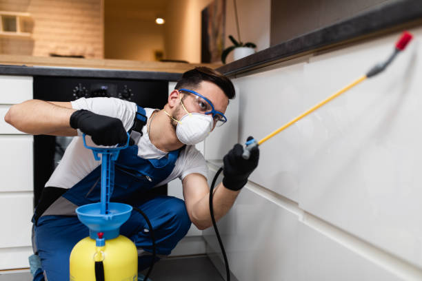 Best Affordable Exterminators  in Shawnee, OK