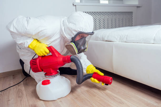 Best Pest Inspection Near Me  in Shawnee, OK