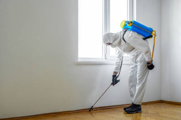 Best Pest Prevention Services  in Shawnee, OK