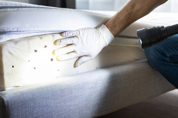 Best Exterminator Services  in Shawnee, OK