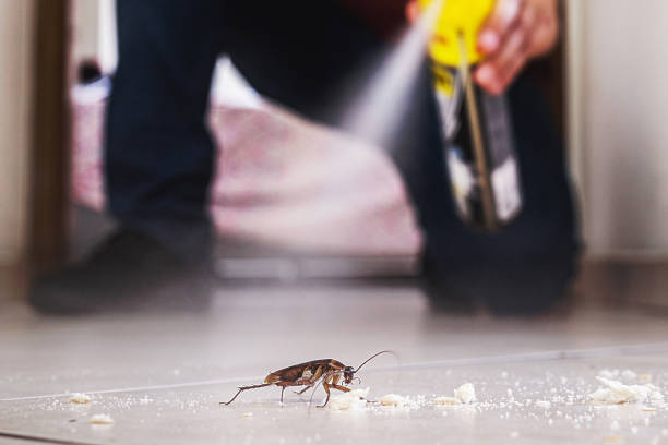 Best Pest Removal Services  in Shawnee, OK