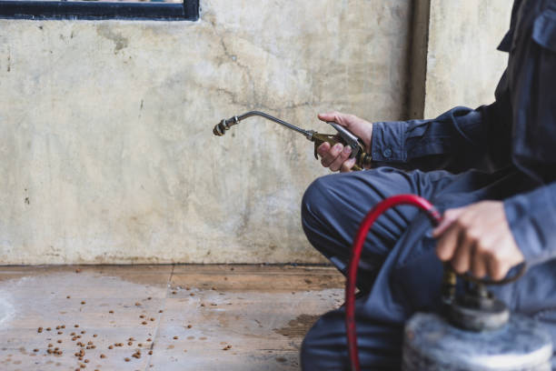 Best Pest Control Near Me  in Shawnee, OK